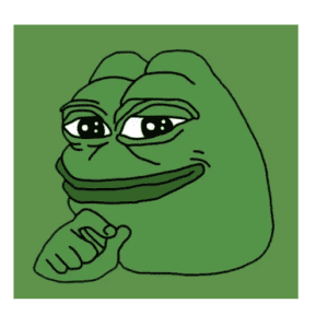 This is a picture of the pepe meme. DAIM advises not to invest in meme cryptos